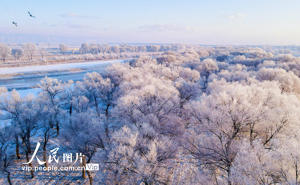 內(nèi)蒙古呼和浩特：霧凇美景 宛若仙境